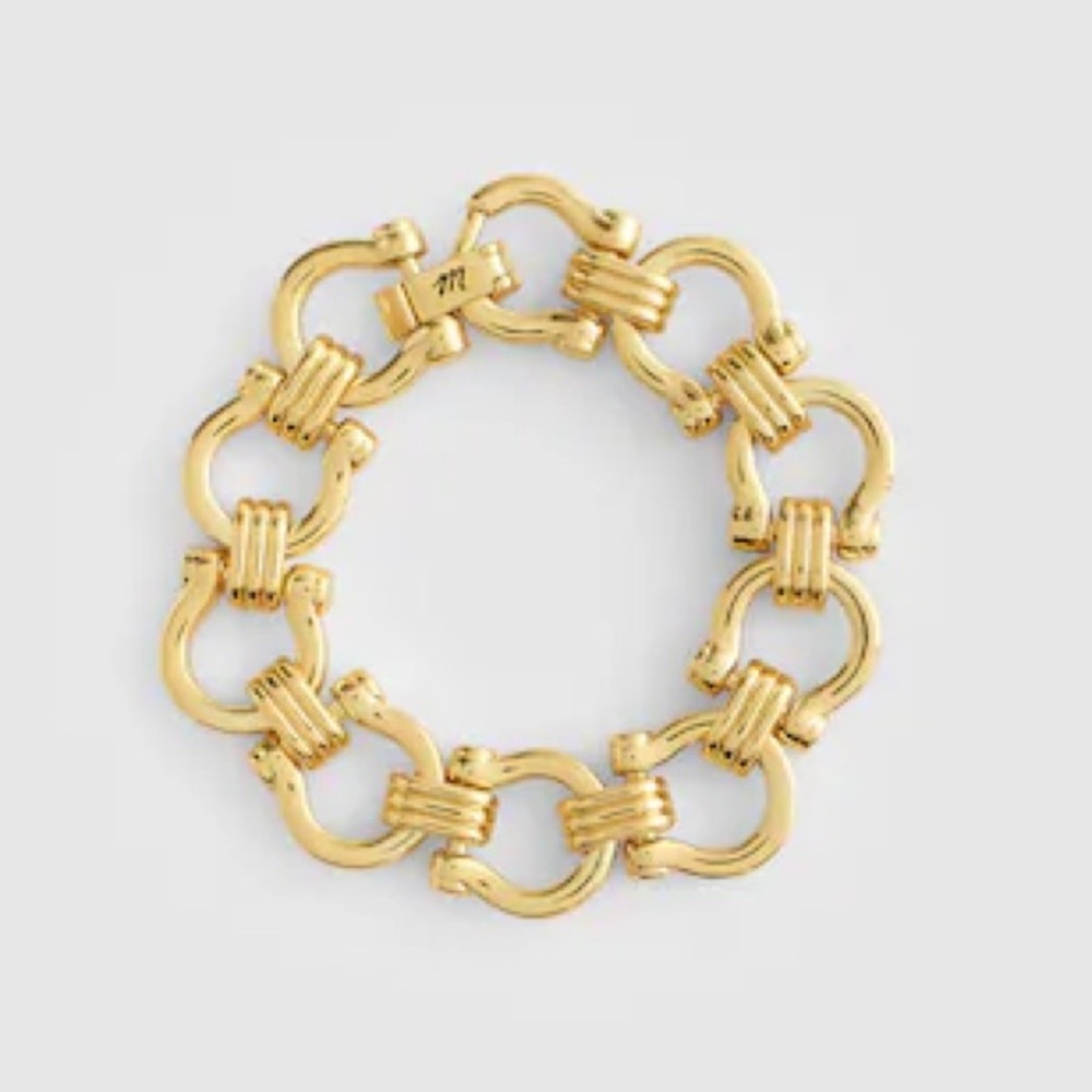 NWT Madewell Equestrian Chunky Chain Bracelet